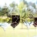 Black and White Tree Branch Wine Glasses - Set of 4 Hand Painted Glasses