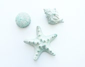 Beach Memories - Sea Urchin, Shell and Starfish magnets set of 3