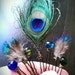 Peacock Feathers Hair Pins