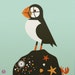 puffin limited edition print