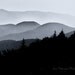 Blue Ridge Mountains Photo. Black & White Decor NC landscape photos. striking wall art 5x7, 5x7 matted to 8x10 Fine Art Photograph In Stock