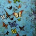 Butterflies 13 24x36 inch butterfly original insect animal portrait oil painting by Roz