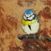 Bird painting 119 bird 12x12 inch original oil painting by Roz