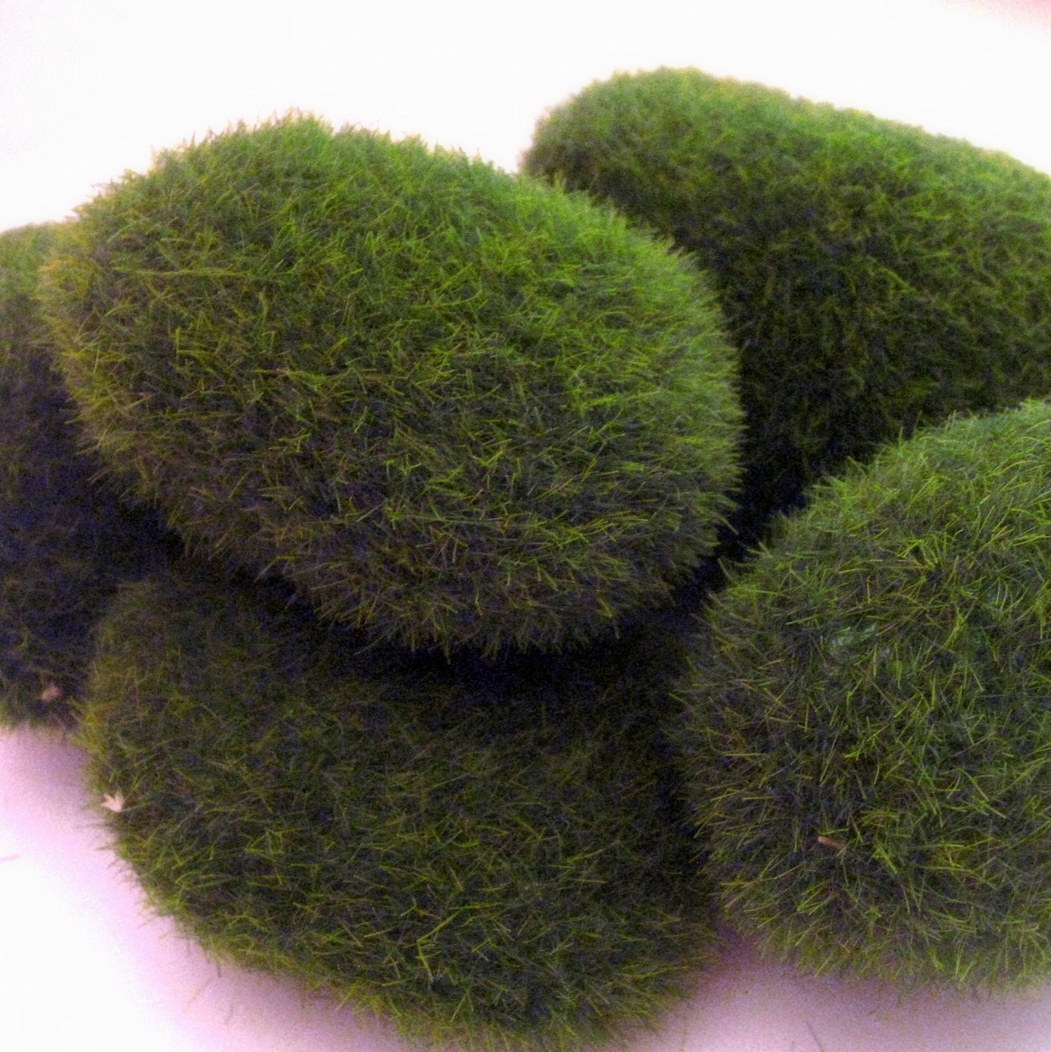 Green Fake Terrarium Moss Rocks for Miniature by Oceansupplies