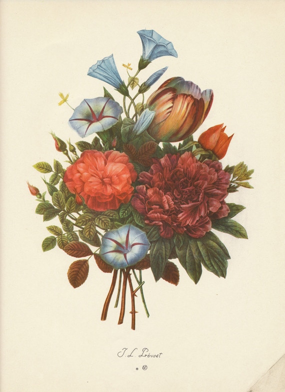Vintage French Flower Print Jean Louis Prevost Bouquets