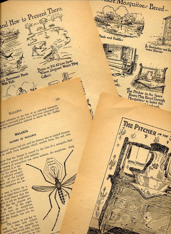 Antique 1800s Medical Home Care Book Illustrations Malaria and