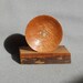 Diz - Three Hole - Lacewood