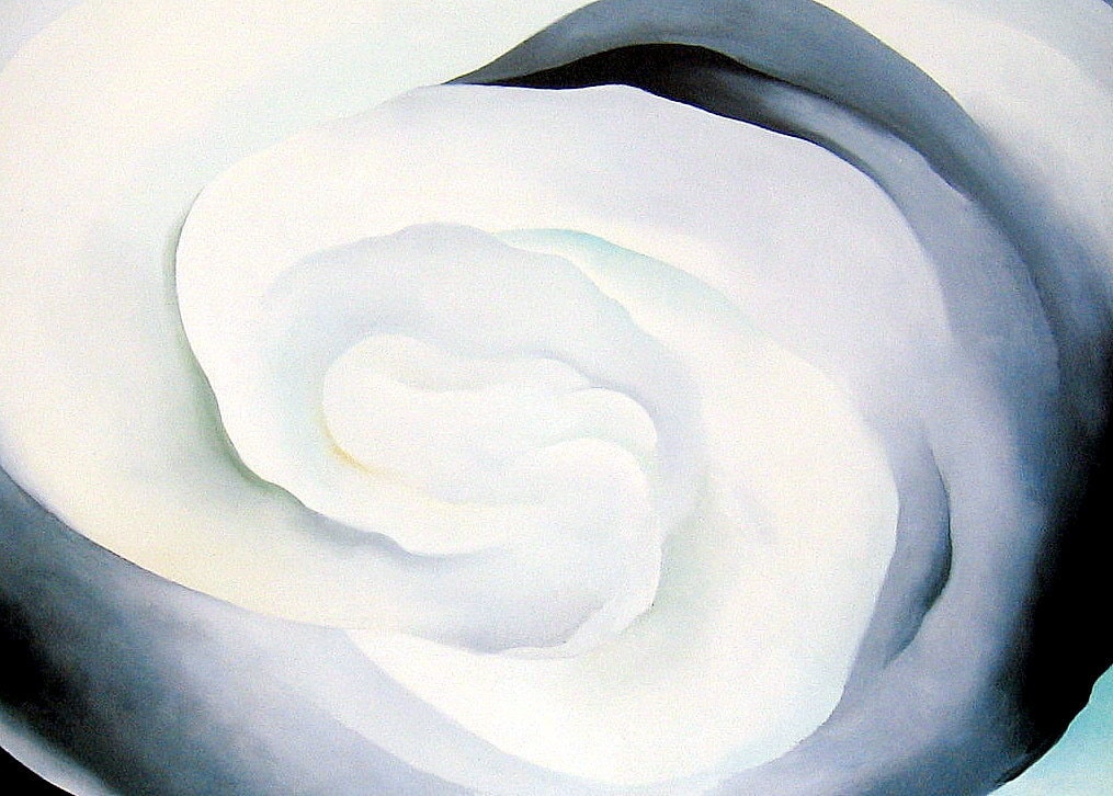 Abstraction White Rose Georgia O'Keeffe by mysunshinevintage