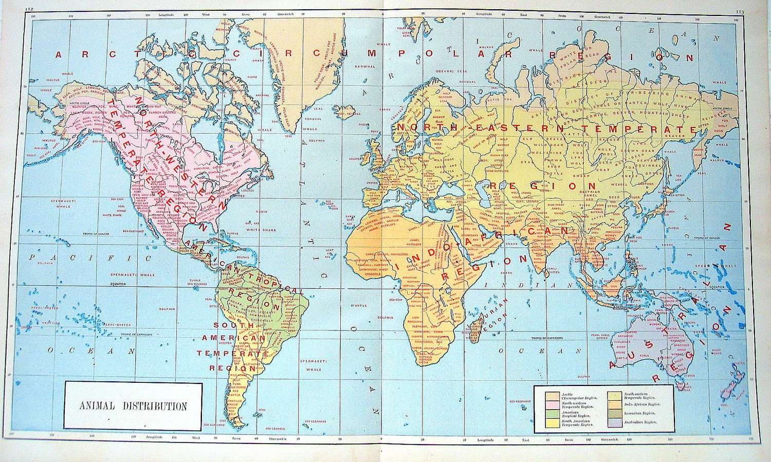 1890 Map Animal Distribution Antique World Atlas Map