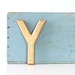 Vintage Letter Y