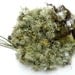 Natural Lichen Moss Authentic Forest Methuselah's Beard No.3