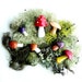 Terrarium Mushrooms Lichen Moss Fungus Forest Collection
