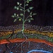 Original Color Pencil Drawing on Wood, Tomato Plant, gardening, home decor, art