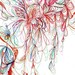Blossoms Series 2010-01 Giclee Print