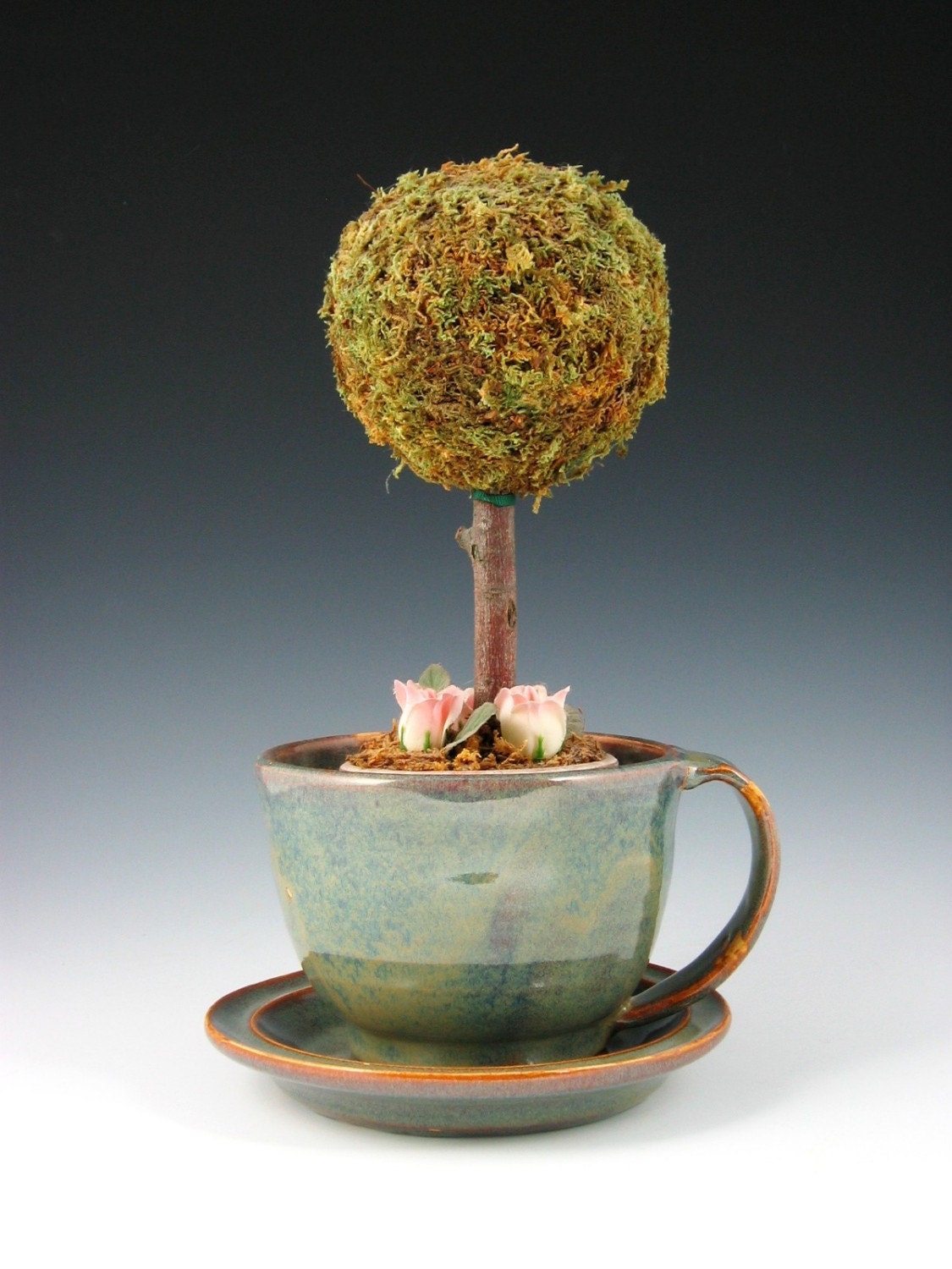 Coffee Cup Planter