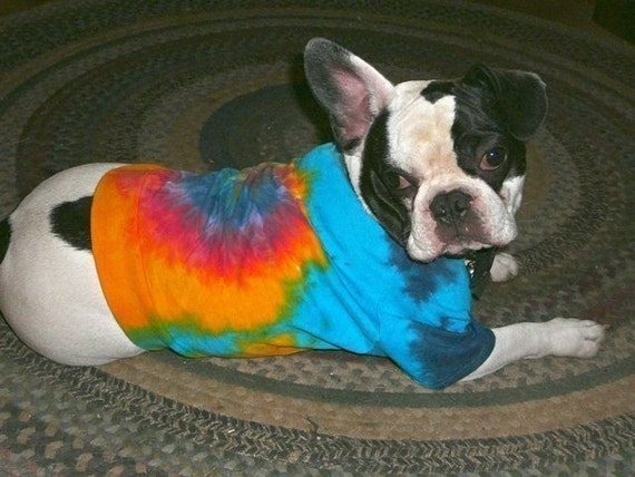 tie dye puppy shirt