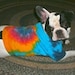 Tie Dye Dog T-Shirt