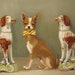 Walter Preferred The Quiet Company Of The Porcelain Dog Figurines- Animal Portrait Print
