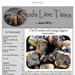 Soda Lime Times Lampworking Magazine (PDF) - June 2012 by Diane Woodall