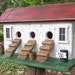 Chicken Coop Hen House Primitive Birdhouse Three Compartment Coop