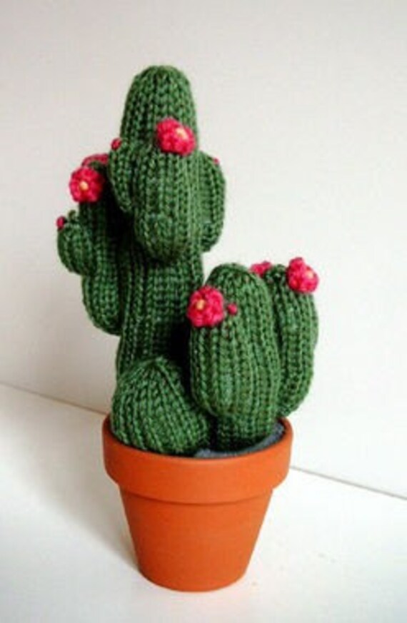 knitted cactus