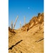 New England Series--Moon and Dune at Cape Cod