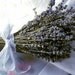 Special Order for Becky Double Bouquet English Lavender and Lemon Lavender Body Butter 1/2 pound of Dried Lavender