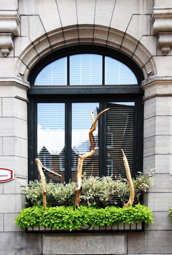 Items similar to Window Garden on Etsy