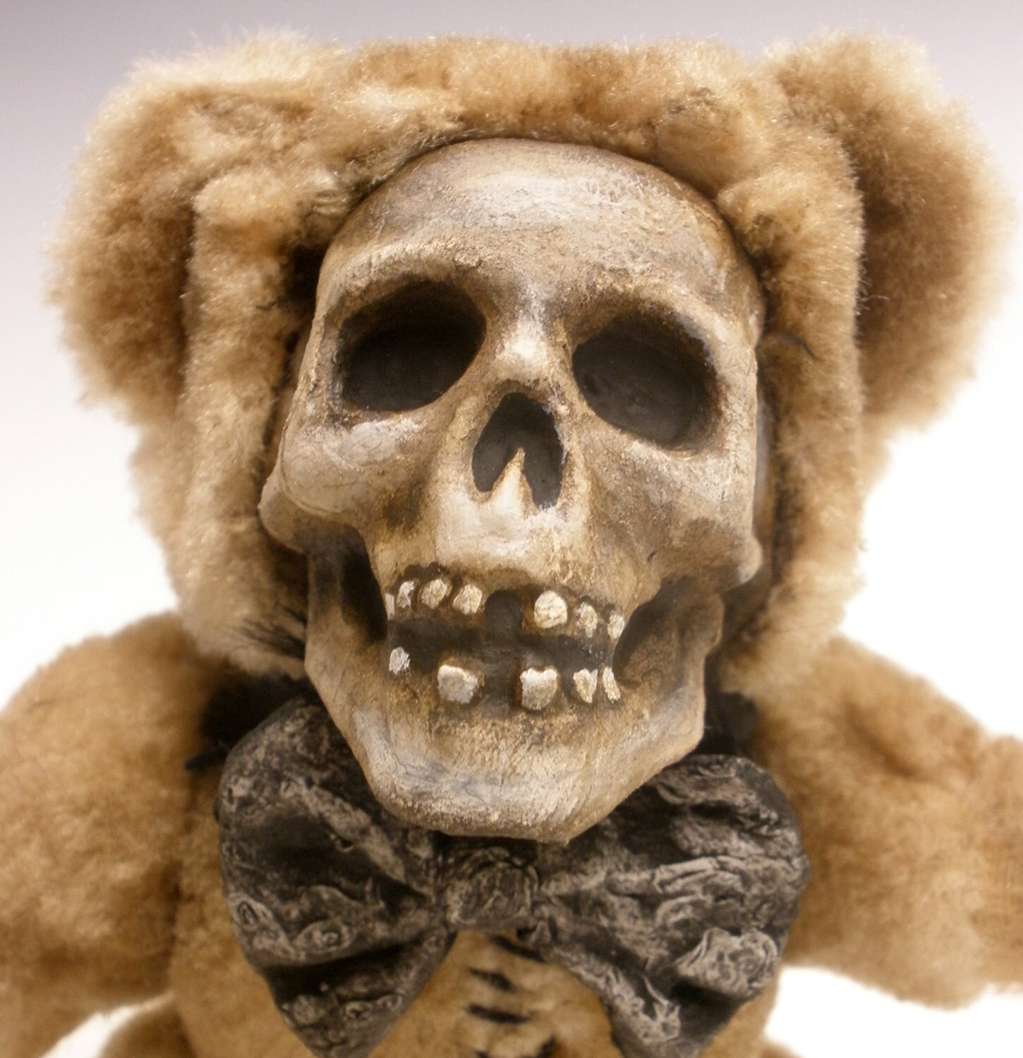 teddy bear skeleton