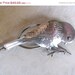 SOLD to Q Vintage Sterling Tie Clip Signed J Cadbury Fabulous Bird Wonderful workmanship