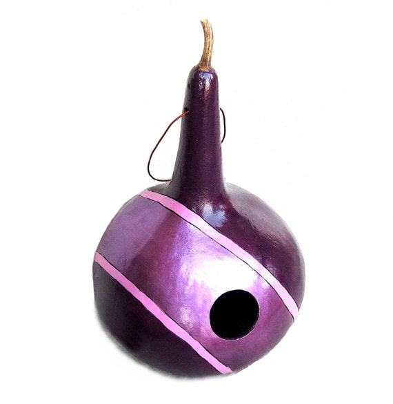 Painted Gourd Birdhouse Purple Nest Box Contemporary Radiant Orchid Pink Stripes