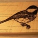 P24 Chckadee Brd Rubber Stamp Mnature Wood Mounted - Etsy