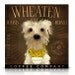 Wheaten Terrier Dark Roast Coffee company original illustration collage on canvas by geministudio