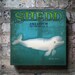 Shedd Aquarium Beluga Whale Chicago poster style collage art on vintage canvas