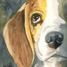 Beagle Art Print of Original Watercolor Painting - 8x10 Dog Art