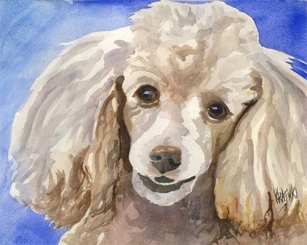 Poodle Art Print of Original Watercolor Painting 11x14