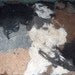 Alpaca Felted Fabric, Fiber Art, Dog Bed, Cat Bed, Wall Hanging, Blanket, Quilt, Rug 3'X4', 1 lb. 11.6 oz.