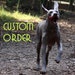 Custom Order for coco9876