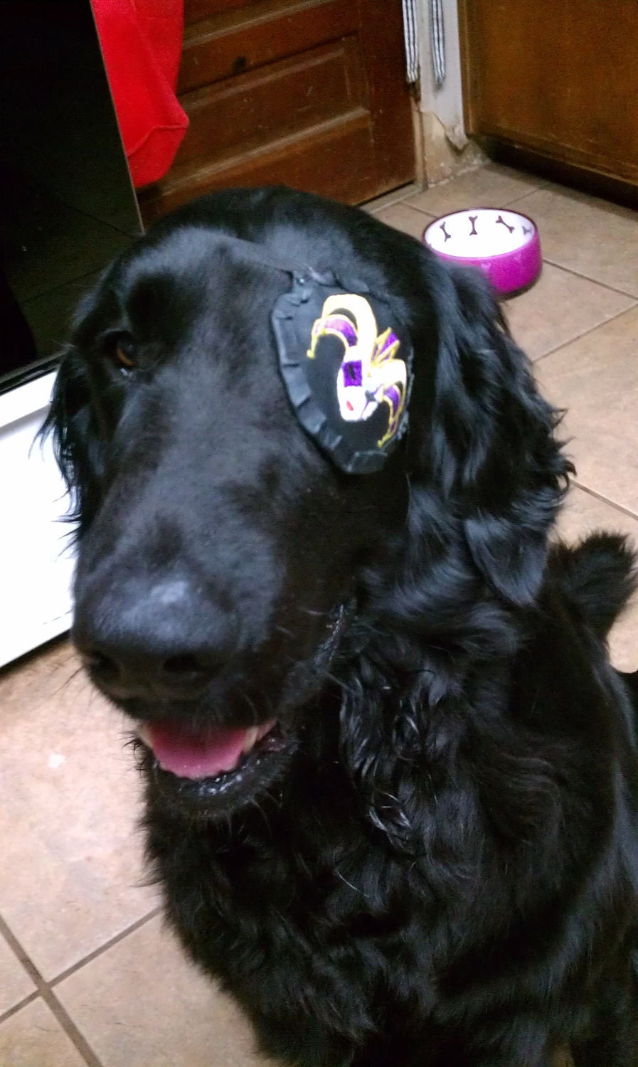 Dog Eye Patch Custom pirate