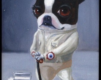 Boston terrier a clockwork terrier magnet