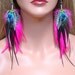 Long Pink and Black Peacock Eye Feather Earrings- Ready to Ship