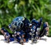 Octopus Glass Sculpture