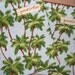 o- Back To School SALE -o Reusable Snack Bag \/ Tote - Set of 2- Palm Trees --S--
