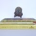 Sale Needlefelted Bird Owl Baby in Cute and Fluffy Natural Shetland Grey Curls