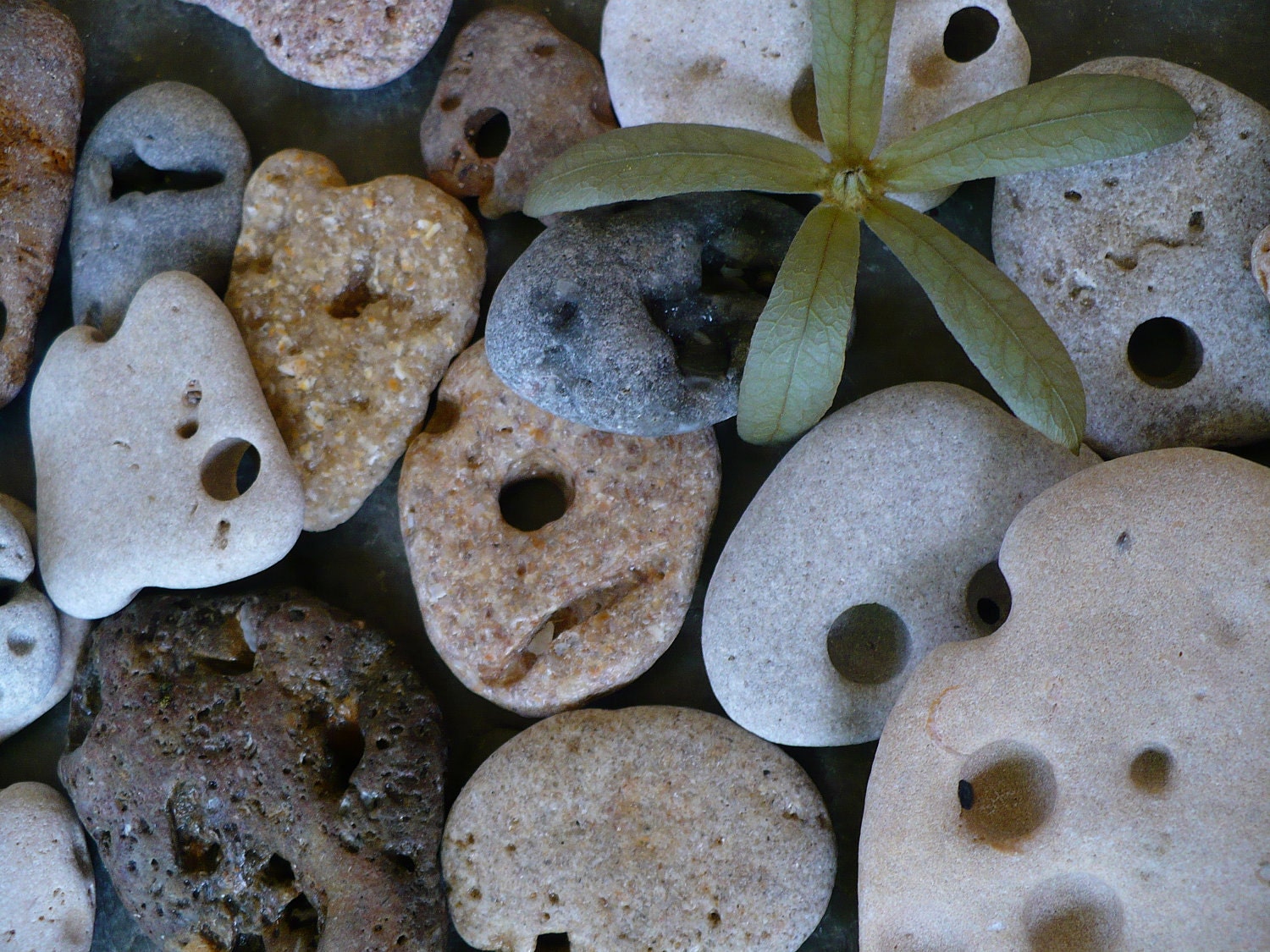 BEACH STONES with natural holes