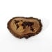 Rustic Twig Slice Wooden World Dotted Map Brooch - Pin - Pyrography by Tanja Sova