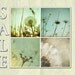 SALE - Field Of Dreams Collection - Four 5x5 Fine Art Photography Prints
