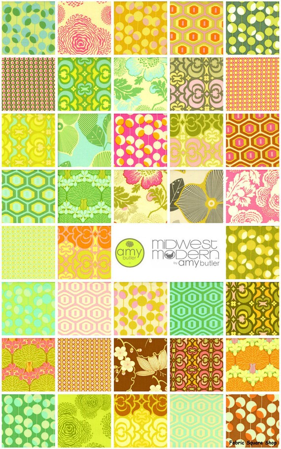 amy-butler-midwest-modern-6-5-quilting-fabric-by-materialgirlchic