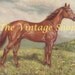 Thoroughbred Man of War Horse Print of 1920s Ed Miner Painting