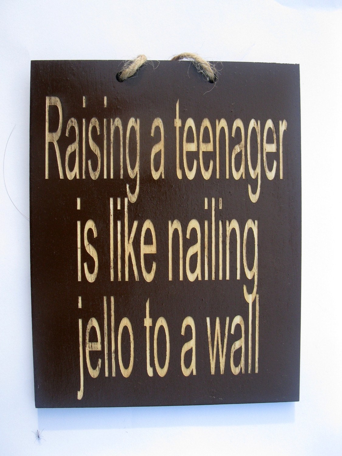 Raising a teenager is like nailing jello to a wall Wooden Sign